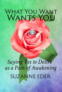 Front Cover What You Want Wants You Suzanne Eder